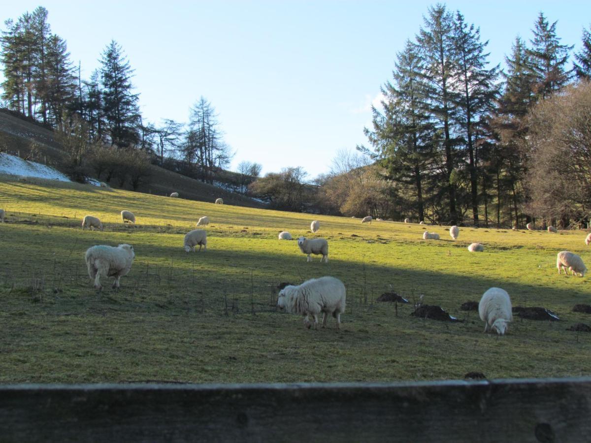 Wild Valley Bunkhouse Llanrhaeadr-ym-Mochnant Eksteriør bilde